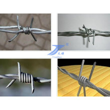 Sharp High Quality Stainless Steel Barbed Wire (factory)